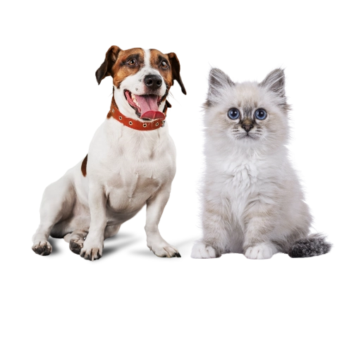 Pets